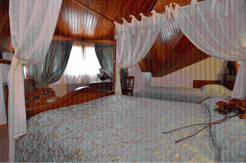 Hotel Apollon Мецово Екстериор снимка
